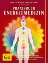 Praxisbuch Energiemedizin