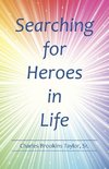 Searching for Heroes in Life