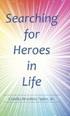 Searching for Heroes in Life