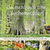 Deutschlands alte Buchenwälder