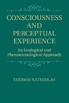 Consciousness and Perceptual Experience