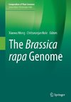 The Brassica rapa Genome