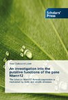 An investigation into the putative functions of the gene Ntann12