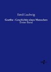 Goethe : Geschichte eines Menschen