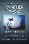 The Adventures of Panther the Cat