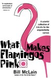 What Makes Flamingos Pink?