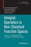 Integral Operators in Non-Standard Function Spaces