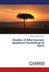 Studies of Macroscopic Quantum Tunnelling of Spins