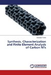 Synthesis, Characterization and Finite Element Analysis of Carbon NTs