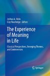 The Experience of Meaning in Life