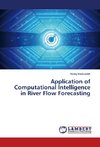 Application of Computational Intelligence in River Flow Forecasting