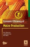 Economic Efficiency of Maize Production