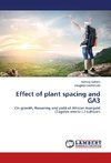 Effect of plant spacing and GA3