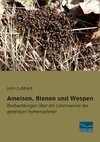 Ameisen, Bienen und Wespen