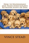 How to Understand and Train Your Golden Retriever Puppy or Dog