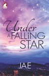 Jae: Under a Falling Star