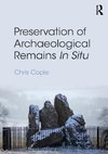 Preservation of Archaeological Remains In Situ