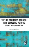 The UN Security Council and Domestic Actors