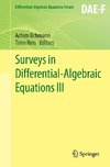 Surveys in Differential-Algebraic Equations III