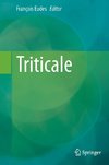 Triticale