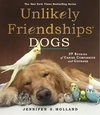 Unlikely Friendships: Dogs