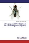 Intra-puparial Development in Sarcophagidae (Diptera)