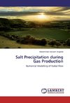 Salt Precipitation during Gas Production