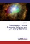 Spontaneous Lorentz Symmetry Violation and Low Energy Scenarios