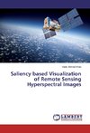 Saliency based Visualization of Remote Sensing Hyperspectral Images