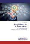 Social Media in e-Government