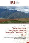 Étude Structuro-Pétrographique d'une Portion du Complexe du Ntem