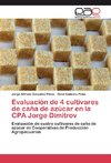 Evaluación de 4 cultivares de caña de azúcar en la CPA Jorge Dimitrov