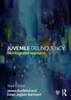 Juvenile Delinquency