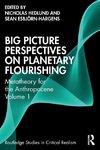 Big Picture Perspectives on Planetary Flourishing