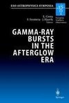 Gamma-Ray Bursts in the Afterglow Era