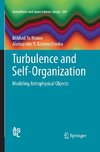 Turbulence and Self-Organization