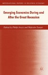 Emerging Economies During and After the Great Recession