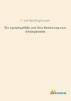 Die Lymphgefäße und ihre Beziehung zum Bindegewebe