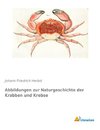 Abbildungen zur Naturgeschichte der Krabben und Krebse