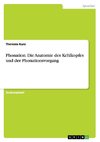 Phonation. Die Anatomie des Kehlkopfes und der Phonationsvorgang