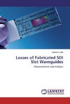 Losses of Fabricated SOI Slot Waveguides