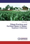 Tillage Practices and Fertilizer Rates in Maize-Soybean Intercrop