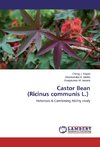 Castor Bean (Ricinus communis L.)