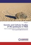 Genetic and Cellular Studies of the podocyte in FSGS