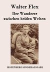 Der Wanderer zwischen beiden Welten