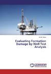 Evaluating Formation Damage by Well Test Analysis