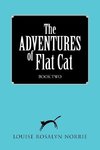 The ADVENTURES of Flat Cat