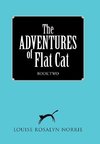 The ADVENTURES of Flat Cat