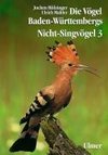 Nicht-Singvögel 3