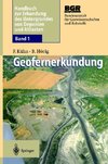 Geofernerkundung